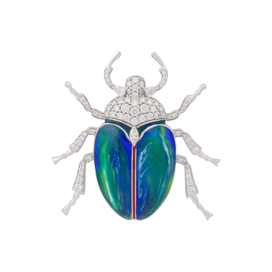 Jeweled beetle insect on a white background