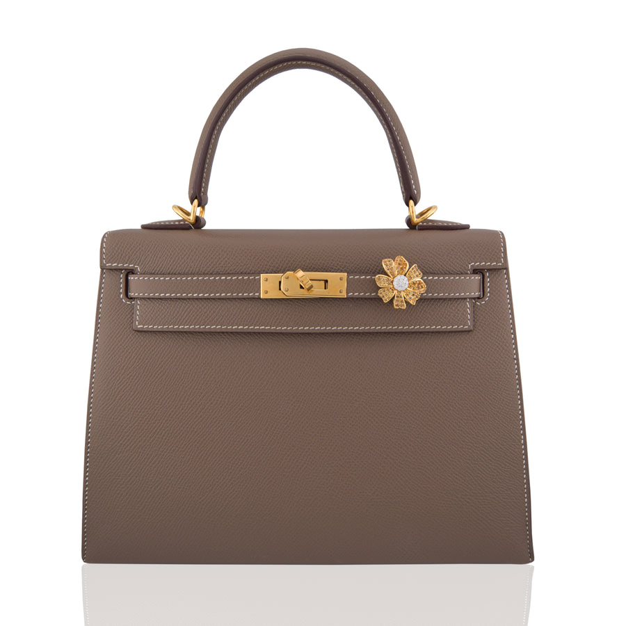 Brown handbag with gold hardware on a white background, collection-preview