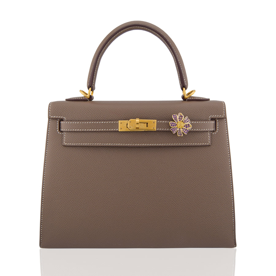 Brown handbag with gold hardware and a decorative clasp on a white background, collection-preview